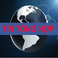 tintonghop247