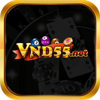 vnd55net