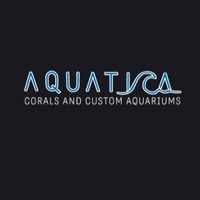Aquatica corals and custom aquariums