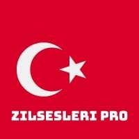 zilsesleripro