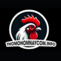 thomohomnaycom