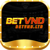 betvndltd