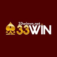 33winvnnet1