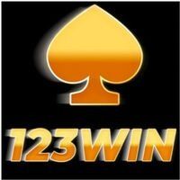 123wincityskin