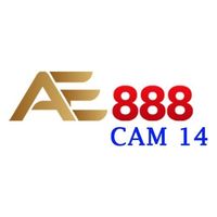 ae888cam14