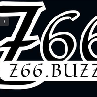 z66buzz