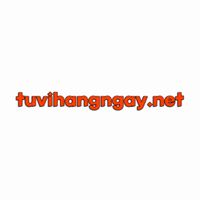 tuvihangngaynet