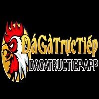 dagatructiepapp