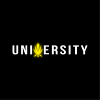 trapuniversityusa