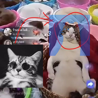 ptrcall