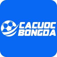 cacuocbongdavin1