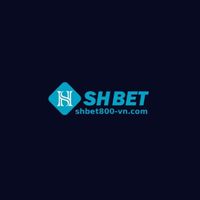 shbet800