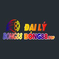 dailybong88top