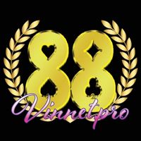 88vinnetpro