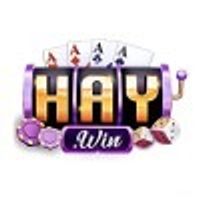 haywin2codes