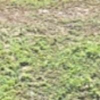 grassmanliquidbounce23