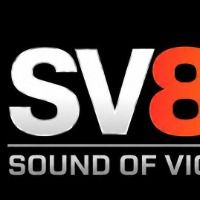 ssv88org1