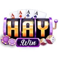 9haywincomtop