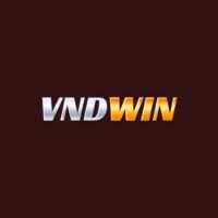 vndwin