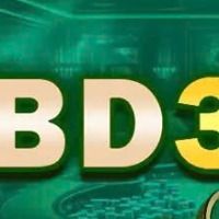 bd333art
