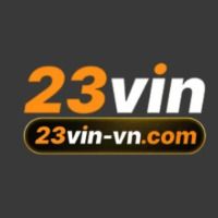 vn23vin